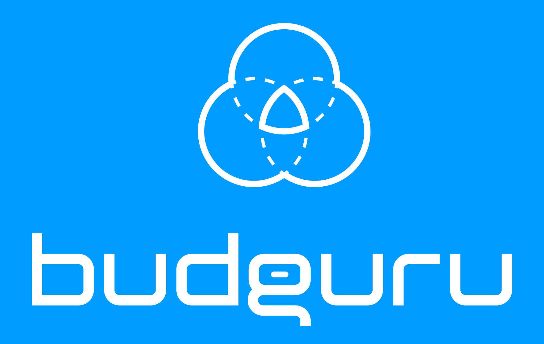 Producent: Budguru (przejdź do produktów)